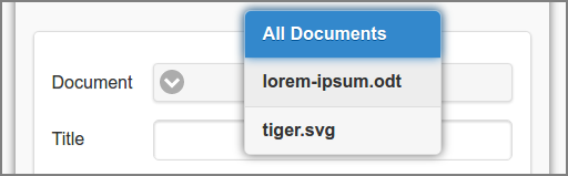 User Web App: PDF - Document Scope